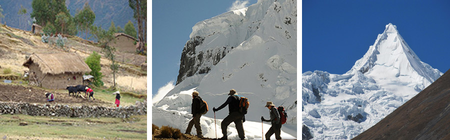 	
Cedros Alpamayo Trek